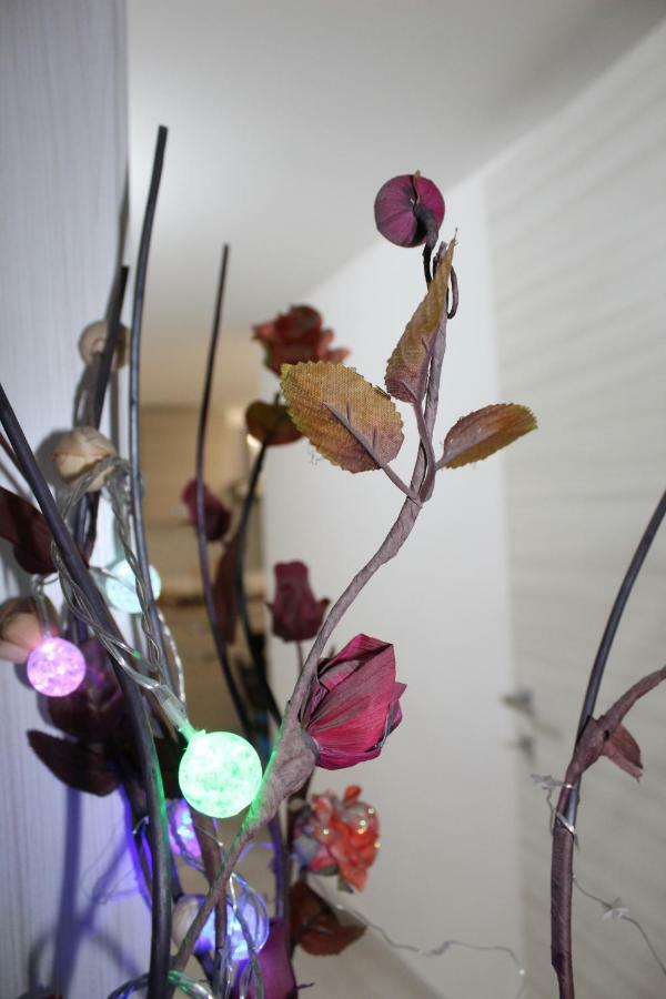Gymnasium Bed & Breakfast Syracuse Bagian luar foto